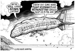 UNITED AIRLINES TROUBLE by Monte Wolverton