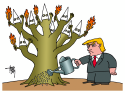 gardener Trump by Arend van Dam, politicalcartoons.com