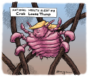 Crab Louse Trump by Tim Eagan, Deep Cover