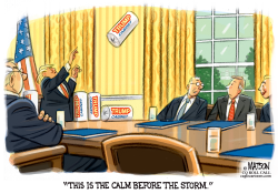 TRUMP DISPENSES PAPER TOWELS AT CABINET MEETING by R.J. Matson