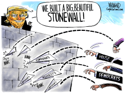 BUILD THE STONEWALL by Dave Whamond