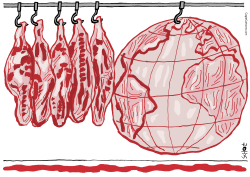 MEAT CONSUMPTION AND CLIMATE CHANGE by Schot