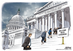 WELCOME BACK CONGRESS by R.J. Matson
