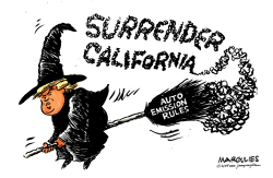 TRUMP AND CALIFORNIA EMISSION STANDARDS by Jimmy Margulies