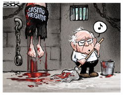 CASTRO CLEANUP by Steve Sack