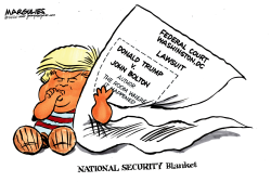 NATIONAL SECURITY BLANKET by Jimmy Margulies