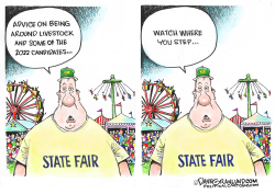 STATE FAIRS AND 2022 CAMPAIGNS by Dave Granlund