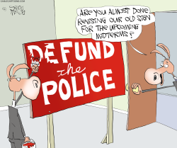 DEFUNDING BY DEMS by Gary McCoy