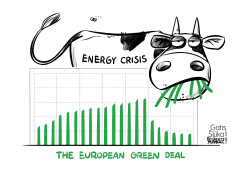 THE EUROPEAN GREEN DEAL by Gatis Sluka