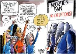 ABORTION BAN WITH EXCEPTIONS by Dave Whamond
