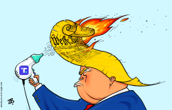 TRUMP & THE CONSTITUTION  by Emad Hajjaj