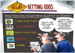 VEGAS ODDS FOR KEVIN MCCARTHY by Dave Whamond