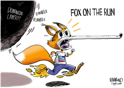 FOX ON THE RUN by Dave Whamond