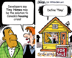 TINY HOMES by Steve Nease