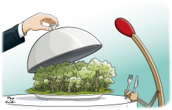 DINNER SERVED FOR FOREST FIRES by Plop and KanKr