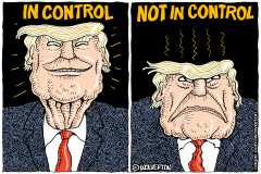 NOT IN CONTROL ANYMORE by Monte Wolverton