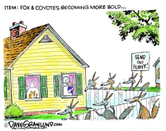 FOX AND COYOTES IN SUBURBS by Dave Granlund