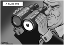 Homegrown Terrorism by R.J. Matson, Roll Call