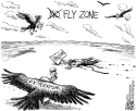 Fly Zone by Adam Zyglis, The Buffalo News