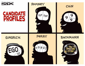 CANDIDATE PROFILES by Steve Sack