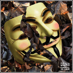 OCCUPY OVER by Terry Mosher