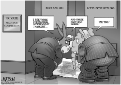 LOCAL MO- REDISTRICTING PANEL by R.J. Matson