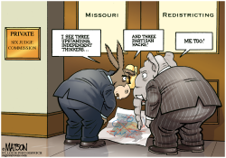 LOCAL MO- REDISTRICTING PANEL- by R.J. Matson