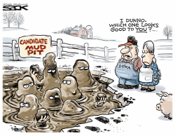 CANDIDATE MUD PIT by Steve Sack