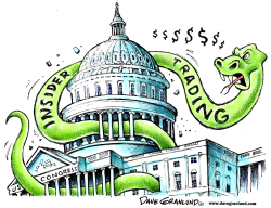 INSIDER TRADING AND CONGRESS by Dave Granlund