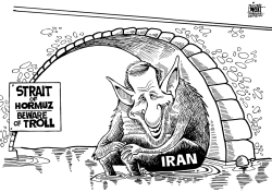 THE TROLL OF IRAN, B/W by Randy Bish