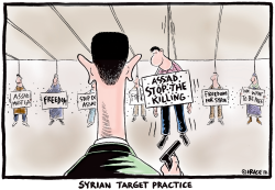 SYRIAN TARGET PRACTICE by Ingrid Rice