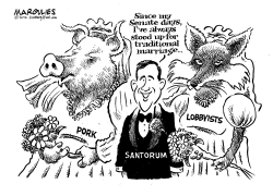 SANTORUM SUPPORT OF TRADITIONAL MARRIAGE by Jimmy Margulies