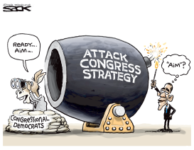 ATTACK CONGRESS by Steve Sack