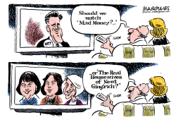 MITTS WEALTH AND NEWTS WIVES by Jimmy Margulies