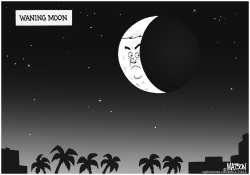 WANING MOON GINGRICH by R.J. Matson