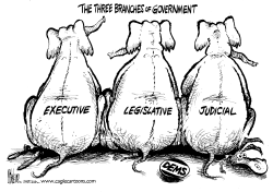 BRANCHES OF GOVERNMENT by Mike Lane