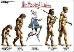 MISSING LINK  by Bill Day