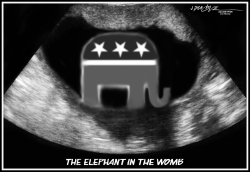 ELEPHANT IN THE WOMB by J.D. Crowe