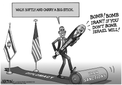 WALK SOFTLY AND CARRY A BIG STICK by R.J. Matson