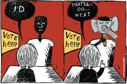 VOTER IDS by Randall Enos