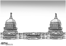 DIVIDED CONGRESS HAS TWO CAPITOLS by R.J. Matson
