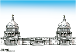 DIVIDED CONGRESS HAS TWO CAPITOLS- by R.J. Matson