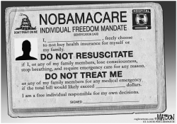 INDIVIDUAL FREEDOM MANDATE TO NOT BUY HEALTH INSURANCE by R.J. Matson