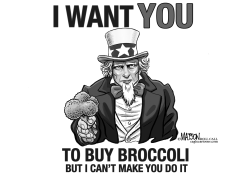 I WANT YOU TO BUY BROCCOLI by R.J. Matson