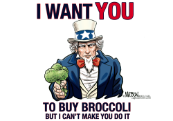 I WANT YOU TO BUY BROCCOLI- by R.J. Matson