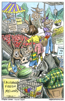 REPUBLICAN SIGHTED AT GREEN MARKET -  by Taylor Jones