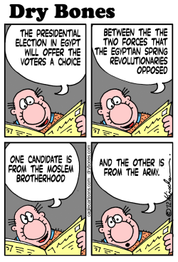 EGYPTIAN ELECTIONS by Yaakov Kirschen
