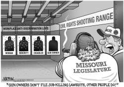 LOCAL MO-ANTI-DISCRIMINATION LAW FOR GUN OWNERS by R.J. Matson