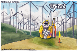 SCOTTISH RENEWABLE ENERGY DISASTER by Iain Green