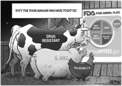 FDA CHOOSE MY FEED FOOD PLATE FOR FOOD ANIMALS by R.J. Matson